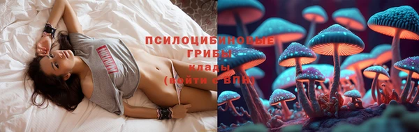 apvp Алексин