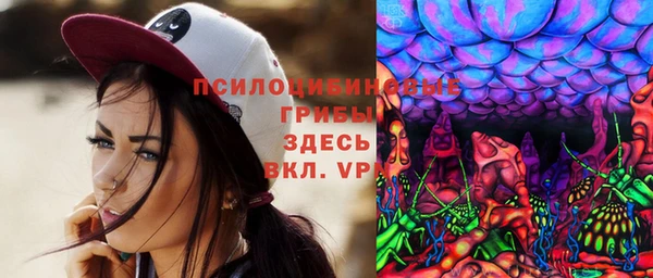 apvp Алексин