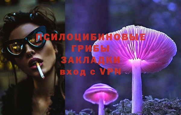 apvp Алексин